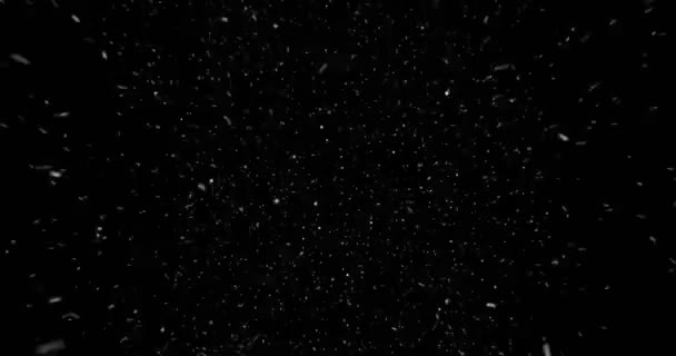 Abstrakte realistische Bildschirm Schwarz-Weiß-Panne — Stockvideo