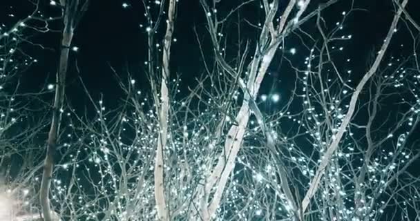 Natal e dia dos namorados árvore branco e prata brilho luz, câmera de movimento lento, conceito de — Vídeo de Stock