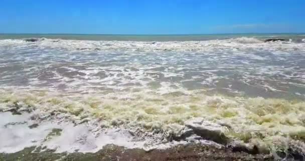 Tropiska karibiska stränder havet med guld sand, semester, slappna av — Stockvideo