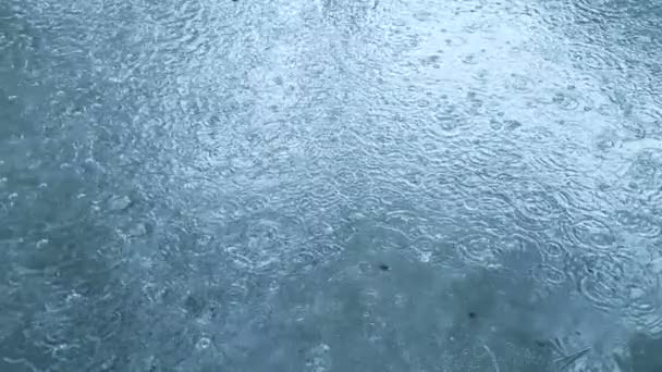 Cámara lenta gotas de agua de lluvia pesada en — Vídeo de stock