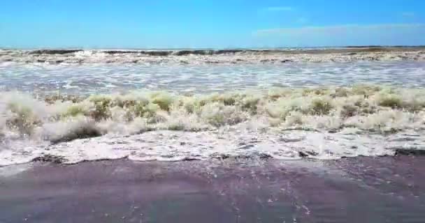 Tropiska karibiska stranden havet med guld sand, semester, slappna av och — Stockvideo