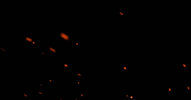 Chispas de fuego de fogata con ceniza suben sobre fondo negro, peligro — Vídeos de Stock