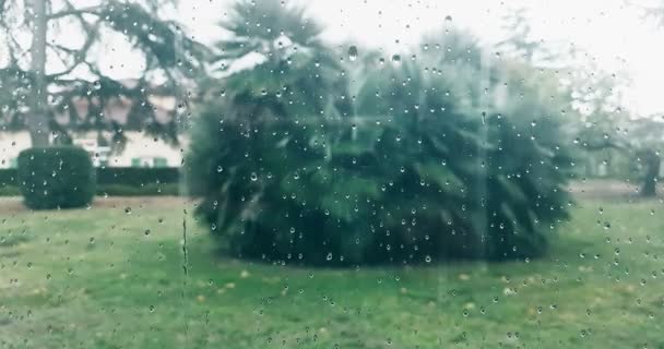 Gouttes de pluie tombant sur fond bleu verre, gouttelettes d'eau sur verre fenêtre avec la nature — Video