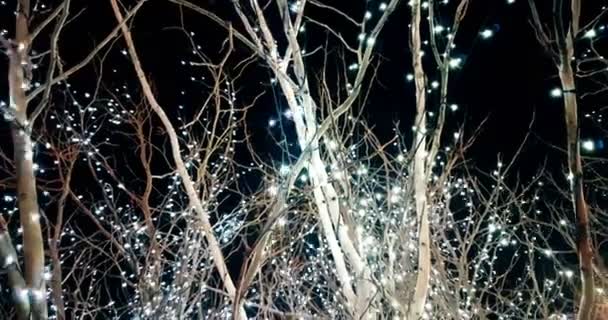 Boże Narodzenie i biały drzewo dzień valentine i srebrny blask światła, powolny ruch kamery, pojęcie — Wideo stockowe