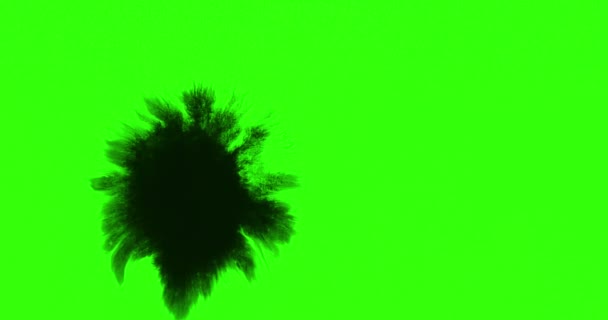 Pintura abstrata pincel curso forma tinta branca respingos fluindo e lavagem na tela verde chave chroma, respingo de tinta respingo — Vídeo de Stock