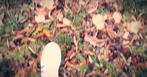 Close up των λευκών sneakers παπούτσια άνθρωπος με τα πόδια πάνω όψη στο χαλί από πολύχρωμο φθινόπωρο — Αρχείο Βίντεο