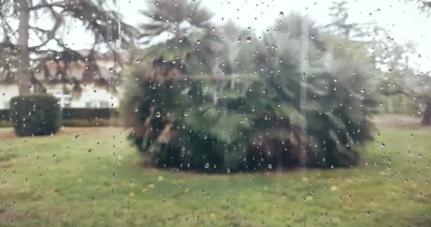 Gotas de lluvia cayendo sobre fondo de vidrio, agua — Vídeo de stock