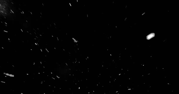 Christmas real snowflakes falling snow from top, winter holiday with stars seamless loop on black — Stock Video