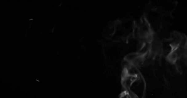 Blowing vertical steam with white smoke isolated on — Stock Video