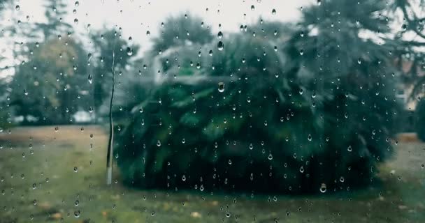 Regnet droppar falla på glas blå bakgrund, vatten — Stockvideo