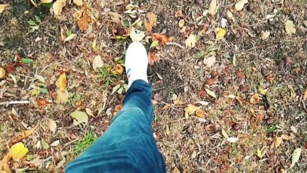Primer plano de zapatillas blancas zapatos hombre caminando vista superior en la alfombra de colorido otoño — Vídeo de stock