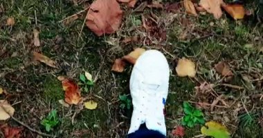 Beyaz spor ayakkabılarını kapat adamım. Renkli bir sonbahar halısı üzerinde üst manzarada yürü.