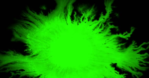 Abstracte verf penseelstreek vorm inkt spettering stroomt en wassen met Chroma Key groen schermkleur, inkt Splatter splash — Stockvideo