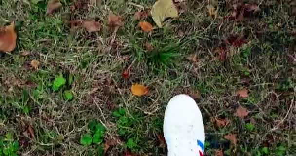 Close up των λευκών sneakers παπούτσια άνθρωπος με τα πόδια πάνω όψη στο χαλί από πολύχρωμο φθινόπωρο — Αρχείο Βίντεο