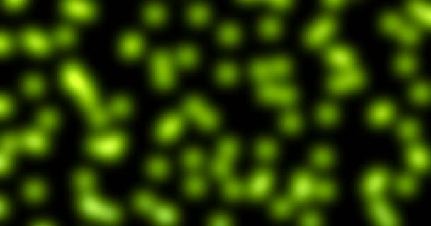 Baktériumok vagy baktériumok mikroorganizmus sejtek mikroszkóp alatt a szín kémiai zöld folyadék, — Stock videók