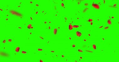 Krom anahtarda uçan kırmızı gül yaprakları, yeşil ekran arkaplan, aşk ve sevgililer günü