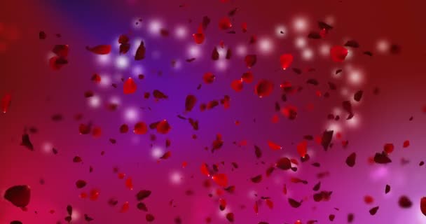 3d animazione rosa e viola petali di rosa che volano con vortice su sfondo nero, amore e giorno di San Valentino — Video Stock