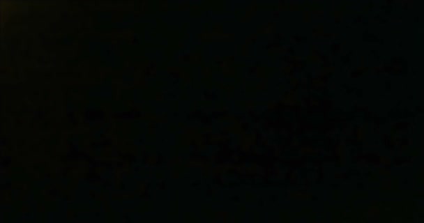 Abstracte ronde gouden fonkeling glitter bokeh vloeiende beweging op zwart — Stockvideo