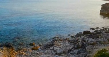 Tropikal Karayip plajı manzarası altın rengi kum ve kayalarla yeşil ve mavi deniz, tatil, gün batımında sakin deniz hareketleri