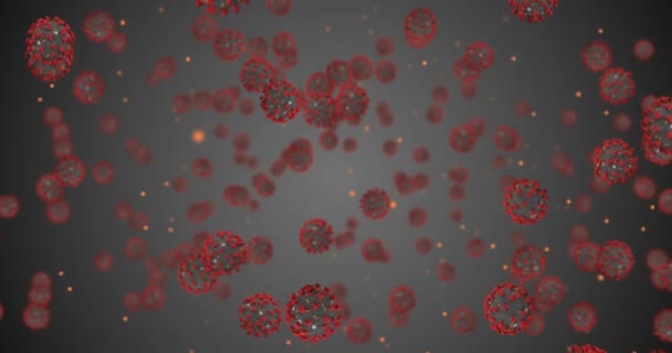 3D απόδοση animation, crowavirus cells covid-19 γρίπη που ρέει σε γκρι διαβάθμιση φόντο ως επικίνδυνες περιπτώσεις στέλεχος της γρίπης, όπως — Αρχείο Βίντεο
