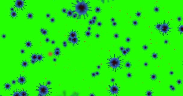 3D απόδοση animation, μπλε coronavirus κύτταρα covid-19 γρίπη που ρέει στο χρώμα κλειδί πράσινο φόντο οθόνη ως επικίνδυνη γρίπη — Αρχείο Βίντεο