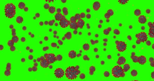 Animacja renderowania 3D, komórki koronawirusowe covid-19 grypa płynąca na tle zielonego ekranu chroma key jako niebezpieczna grypa — Wideo stockowe