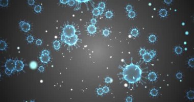 3D canlandırma, mavi koronavirüs hücreleri covid-19 gribi gri gradyan arka planda tehlikeli grip türü olarak akıyor.