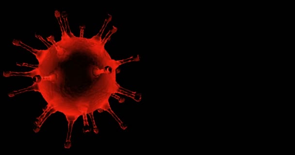 Animación de renderizado 3D, células coronavirus azules y rojas covid-19 influenza que fluye sobre fondo negro y pantalla verde croma key — Vídeos de Stock