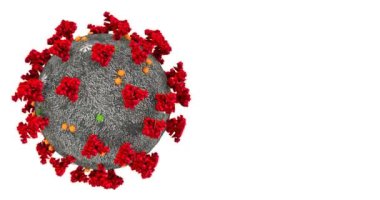 3D canlandırma, koronavirüs hücreleri covid-19 influenza çok renkli krom anahtar yeşil