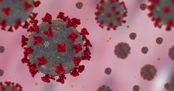 3D рендеринг анимации, коронавирусные клетки ковид-19 гриппа течет на фоне анатомических тканей, как опасный штамм гриппа — стоковое видео