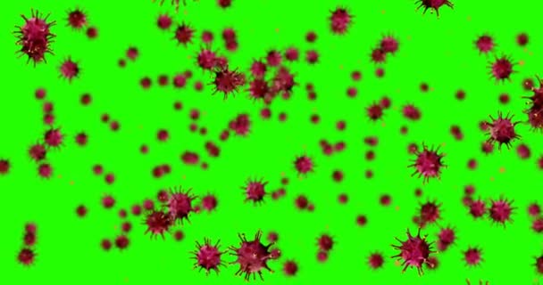 3D-weergave, rode coronaviruscellen covid-19 influenza die op de achtergrond stroomt met chroma-toets groen scherm als gevaarlijke griepstam — Stockvideo