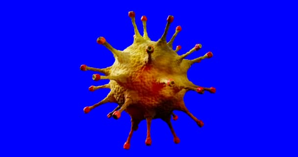 3D 렌더링, 코로나 바이러스 세포 (coronavirus cell) 코로나 바이러스 (coronavirus) 는 위험 한 독감 바이러스인 크로마 키 블루 스크린 (chroma key blue screen) 을 배경으로 흐르고 있다. — 비디오