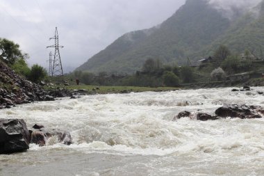 Dağ nehri Teberda 'nın akıntılarına bakan harika bir yaz manzarası. Kafkasya dağlarında, Karachay-Çerkesya, Rusya 'da aydınlık ve sulu bir yaz.