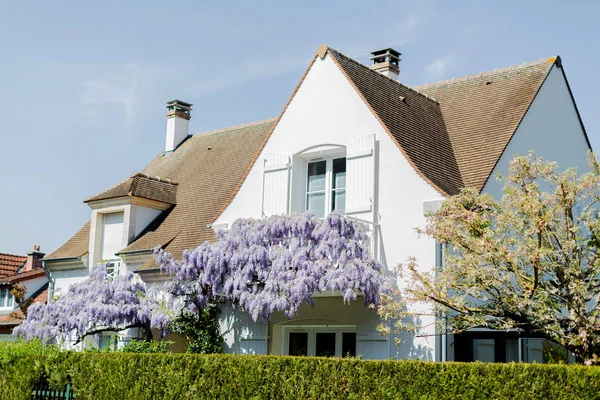 Schönes Weißes Haus Mit Blumen Auf Dem Dach Stockbild