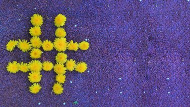 hashtag sonrası viral web ağı medya etiketi blog web sitesi strateji kavramı - stok görüntü