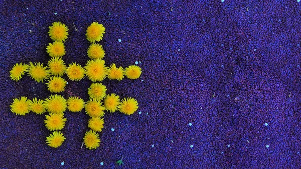 Hashtag dandelionů, koncepce webový trend zařízeními — Stock fotografie