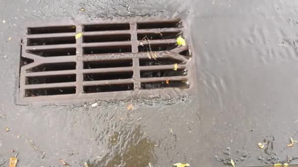 Chuva forte, câmera lenta, close up. Chuva forte derrama em um dreno de tempestade . — Vídeo de Stock