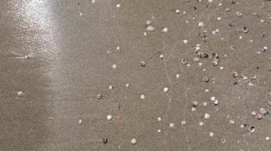 Pembe kum plaj ve deniz havadan görünümü. Döngü okyanus yüzey dokusu, Top view deniz dalgaları yavaş hareket, tropikal kumlu plaj ve dalgalar üzerinde uçan