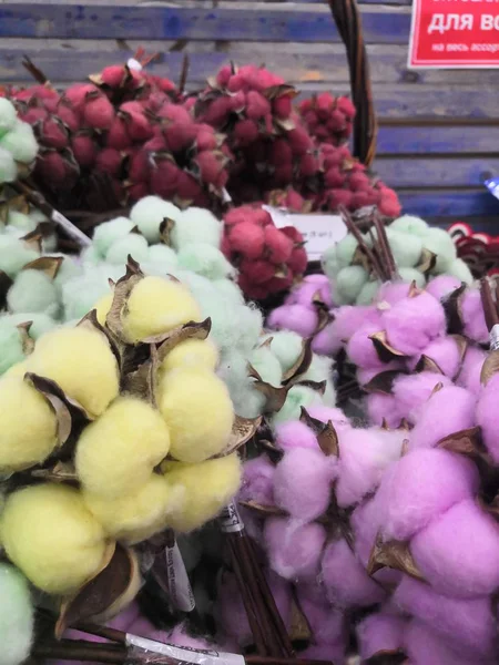 Een tak van katoen en een bloem close-up is een natuurlijk materiaal voor het decoreren van het interieur en het maken van boeketten in bloemschikken. Landbouw, teelt van planten gewassen. — Stockfoto