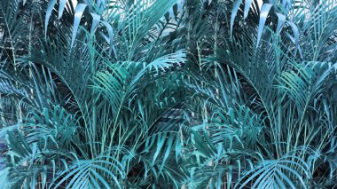 Bahçede tropikal palmiye yaprakları, tropikal orman bitki doğa desen ve arka plan için yeşil yaprakları