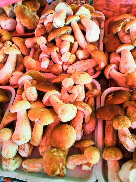 干蘑菇和新鲜采摘的香菇在农村的篮子里 — 图库照片
