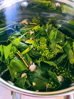 Duvardaki turşular için metin için kopyalama alanı olan dereotu