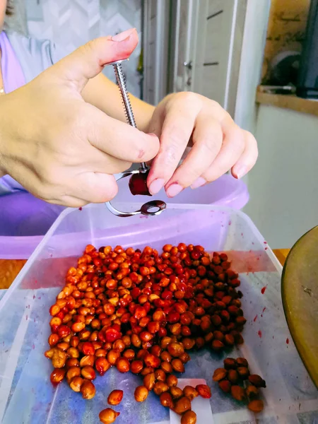 Soft selective focus of fresh raw coffee berries separation with hand work, Worker sorting of red raw coffee beans before proceeding to the next step