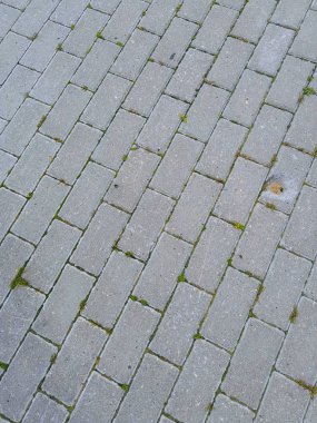 kiremit asfalt desen doğal. Asfalt karoları gri arka plan