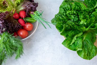 taze sebze domates, pancar, turp, salatalık, biber gri bir arka plan üzerinde