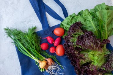 Yeşil eko alışveriş çantası renkli organik sebzeler - üst görünümü yukarıdan yakalanan, düz yatıyordu . Arka plan olarak siyah tebeşir tahtası tahta.