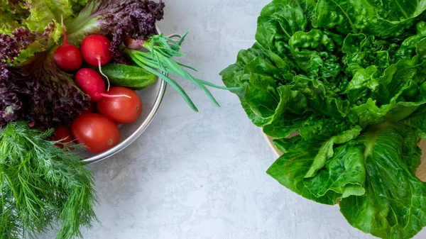 taze sebze domates, pancar, turp, salatalık, biber gri bir arka plan üzerinde