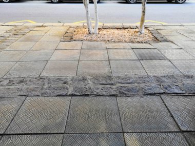 the tiles on the sidewalk, cutting of trees on the sidewalk. column that grows on the sides, exactly cut, with a lantern for lighting in the dark and low blossoming trees.