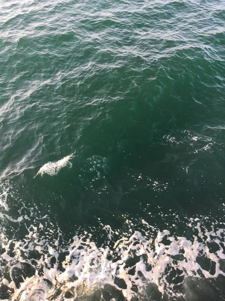 waves from under the ship. The white waves under the blue cloud that shot from the ferry ship to Koh Tao, Thailand