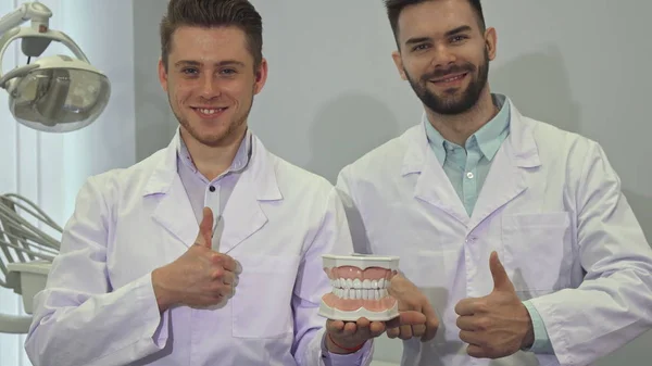 Twee tandartsen tonen lay-out van menselijke tanden — Stockfoto